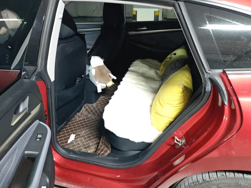 Volkswagen Lamando 2023 imagem de carro #20