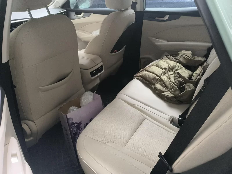 Kaiyi Kunlun New Energy 2024 #20 Kaiyi Kunlun New Energy 2024 immagine di auto #20