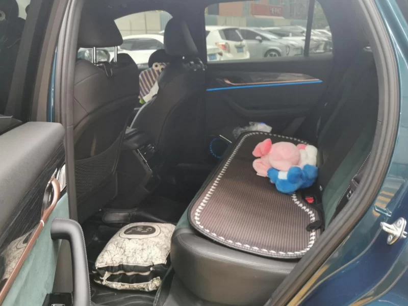 GEELY Monjaro MHEV 2023 car image #20