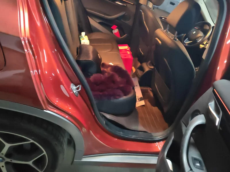 BMW X2 2019 #20 BMW X2 2019 car image #20