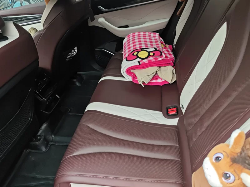 GEELY Monjaro MHEV 2022 #20 GEELY Monjaro MHEV 2022 car image #20