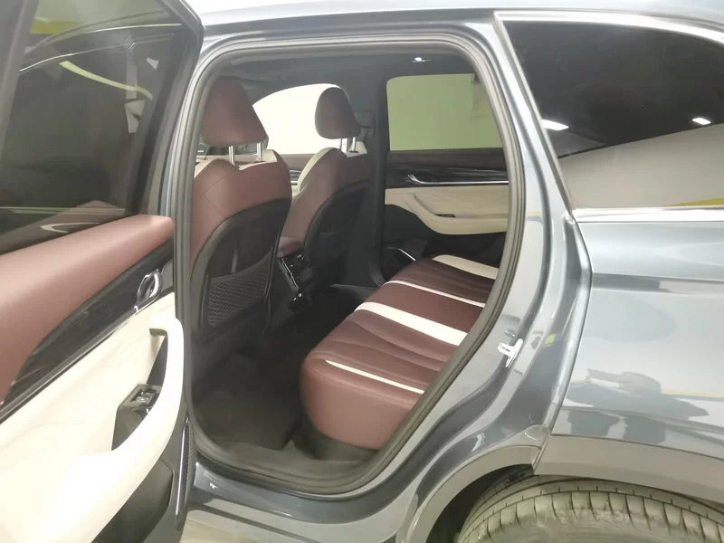 GEELY Monjaro 2022 car image #20