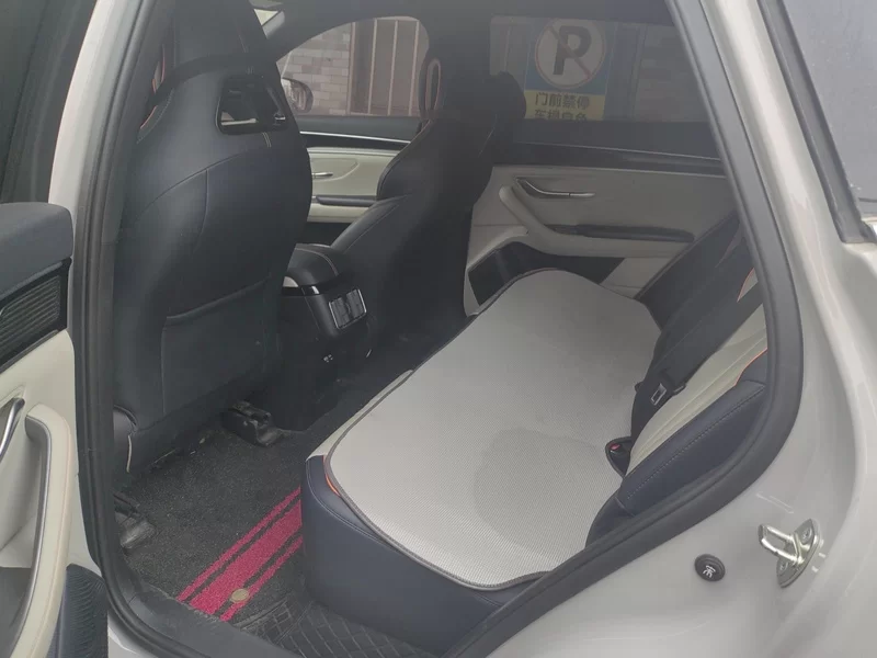 BYD Song Plus New Energy 2023 car image #20