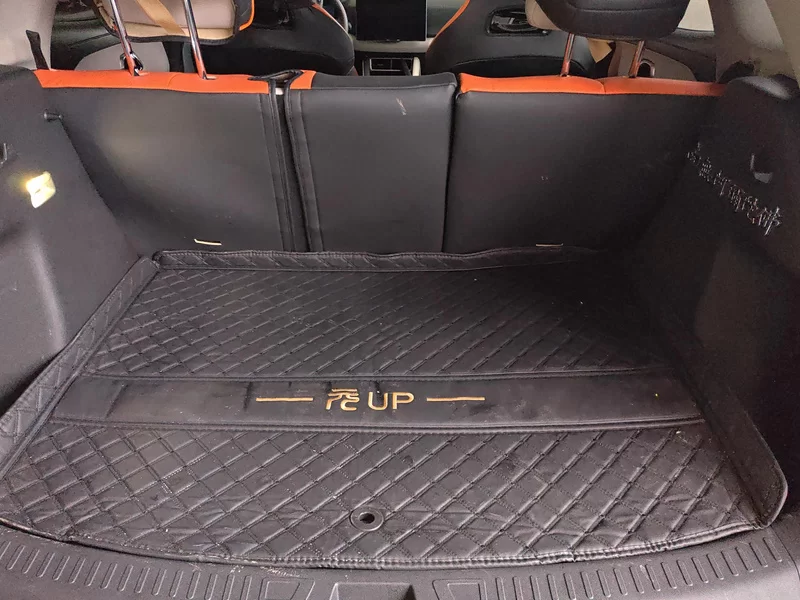 BYD YuanUP 2024 car image #20