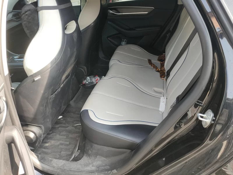 BYD Destroyer 05 2024 car image #20