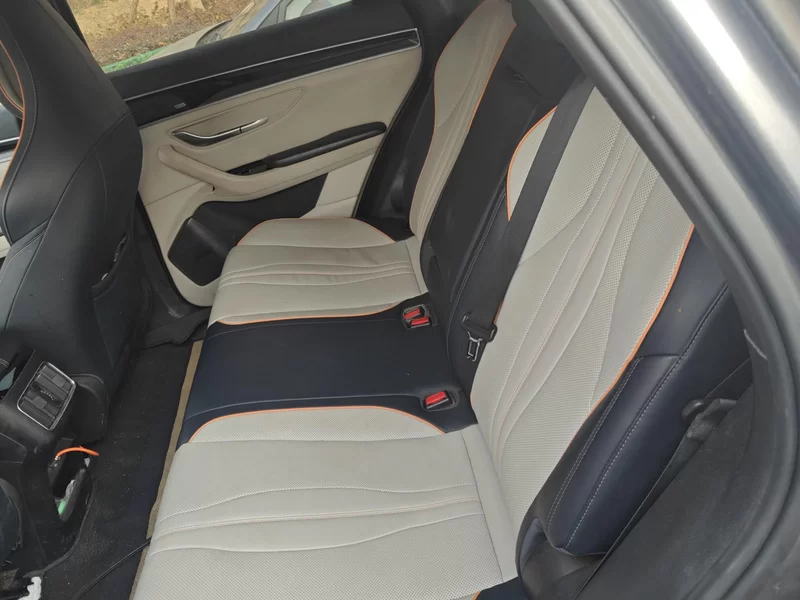 BYD Song Plus New Energy 2021 car image #20