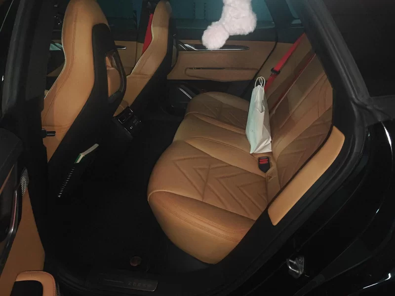 Zeekr 2023 car image #20