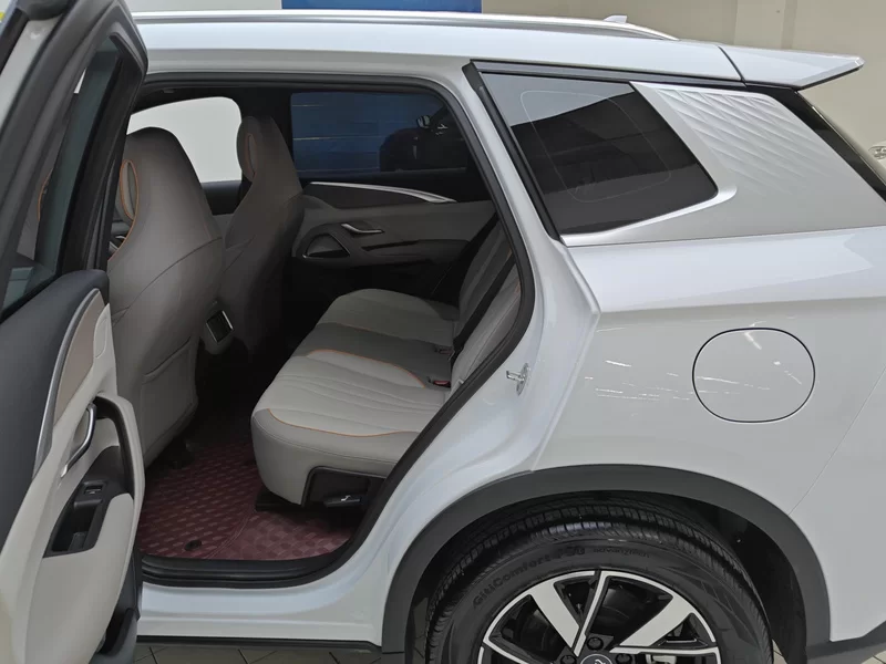 BYD Song Pro New Energy 2024 car image #20