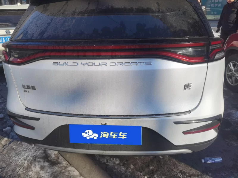 BYD 2021 #20 BYD 2021 car image #20