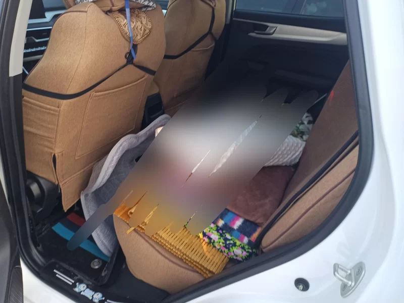 Kaiyi Showjet Pro 2025 #20 Kaiyi Showjet Pro 2025 car image #20