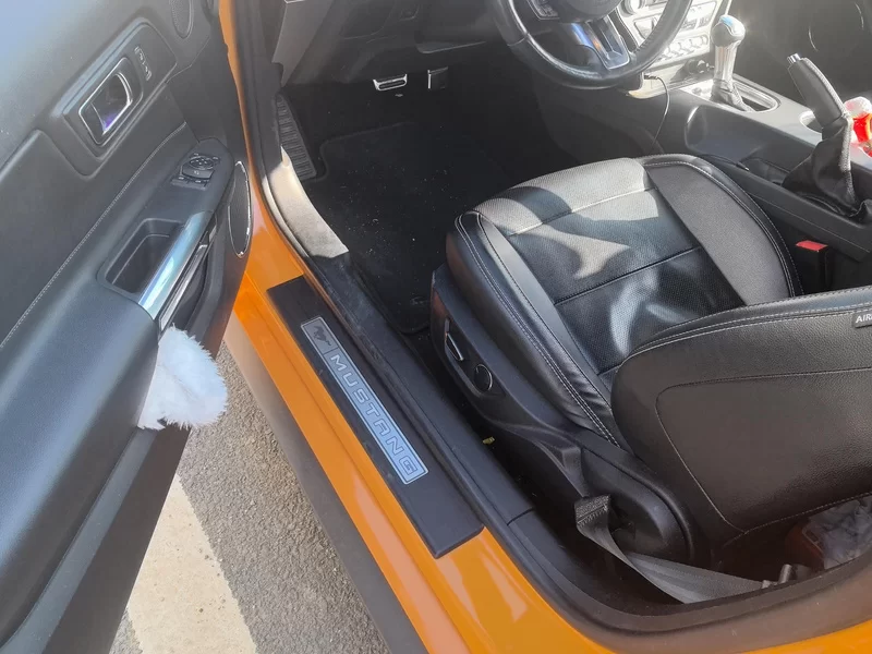 Ford Mustang 2019 car image #20