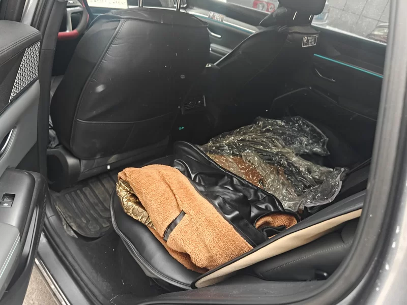 BYD Song Pro New Energy 2025 car image #20