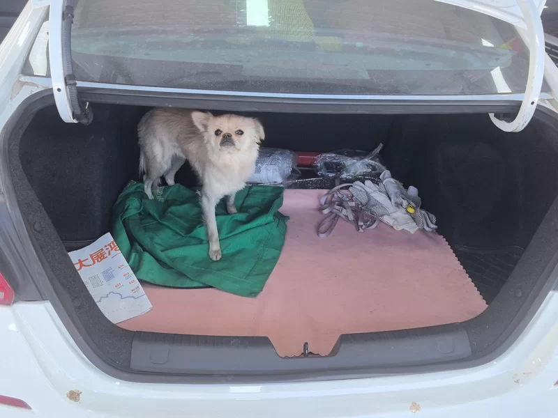 Chevrolet Cavalier 2017 car image #20