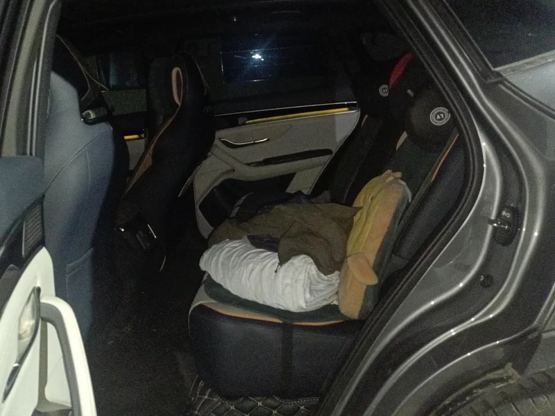 BYD Song Plus New Energy 2024 car image #20