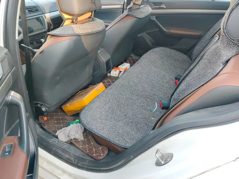 大众 朗逸 2020 汽车图片 #20