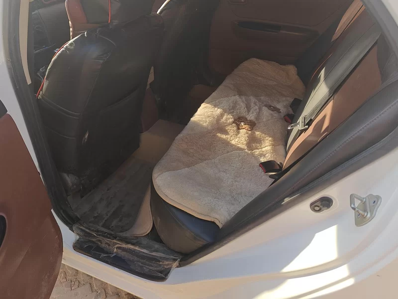 BYD F3 2018 immagine di auto #20