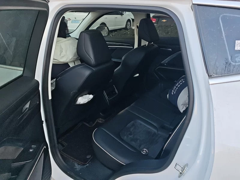 Haval H6 2024 car image #20