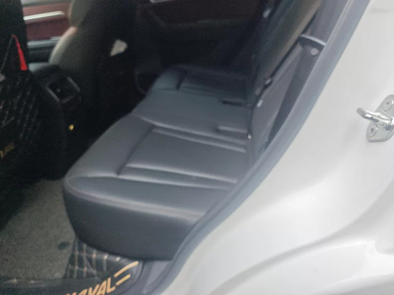 Haval H6 Coupe 2020 #20 Haval H6 Coupe 2020 immagine di auto #20