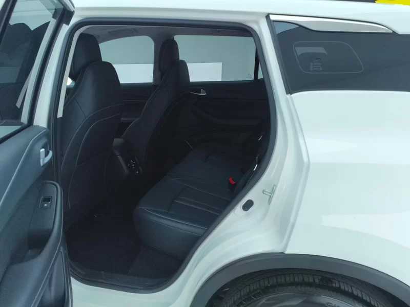 GAC Trumpchi GS4 2024 car image #20