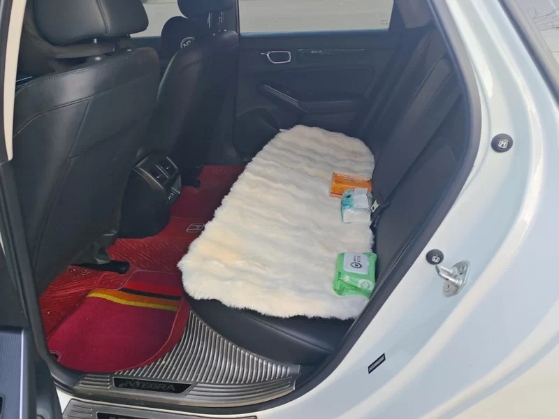 Honda INTEGRA 2022 car image #20