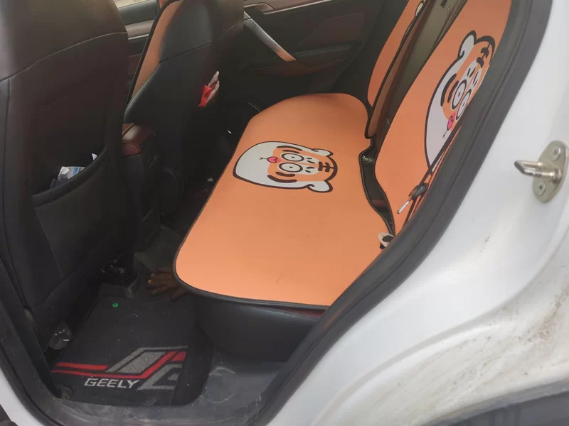 GEELY Coolray 2019 #20 GEELY Coolray 2019 car image #20