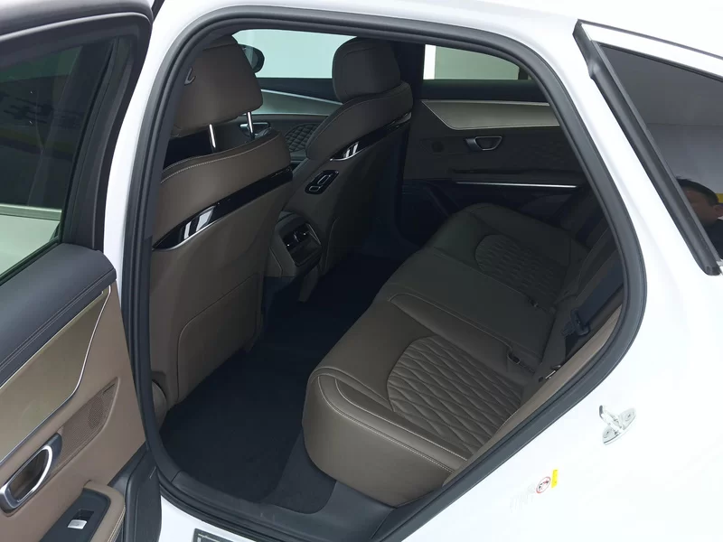 BYD 2024 car image #20
