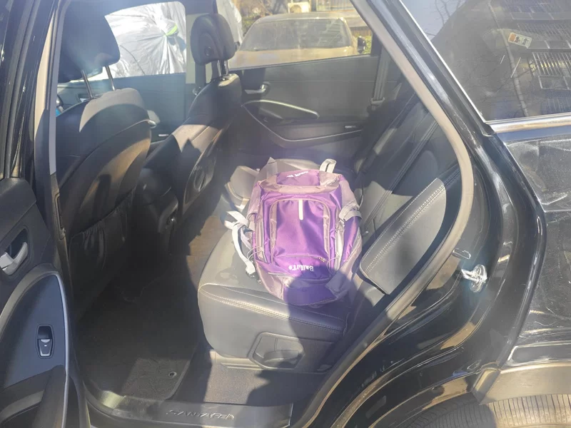 Hyundai Grand Santa Fe 2016 #20 Hyundai Grand Santa Fe 2016 car image #20