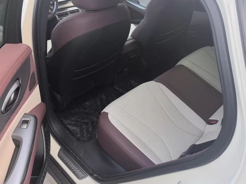 BYD Seal 07 DM-i 2025 imagem de carro #20