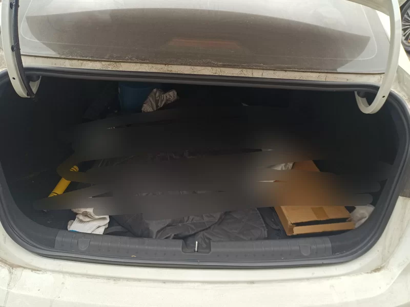 GEELY Emgrand 2023 immagine di auto #20