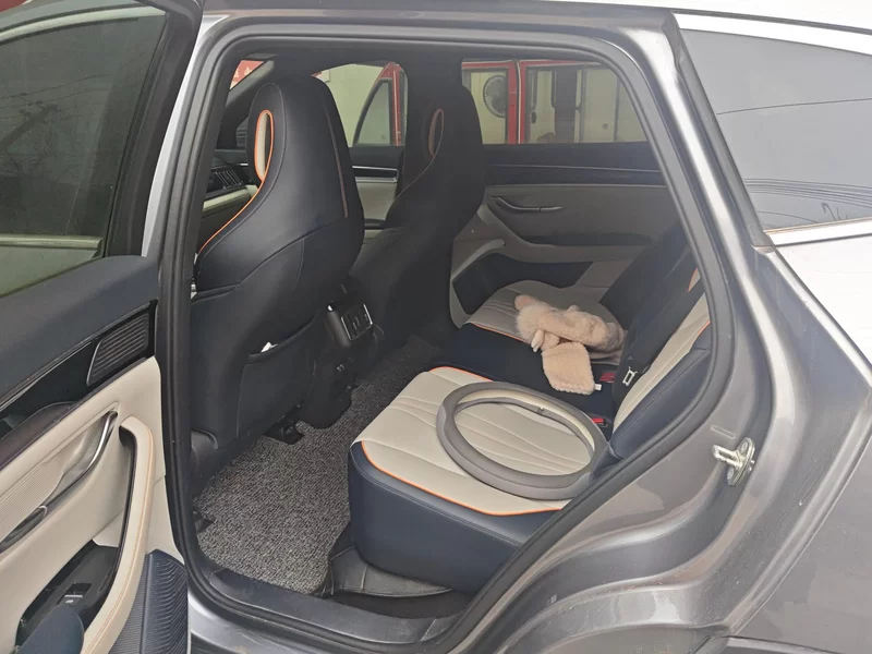 BYD Song Plus New Energy 2022 car image #20