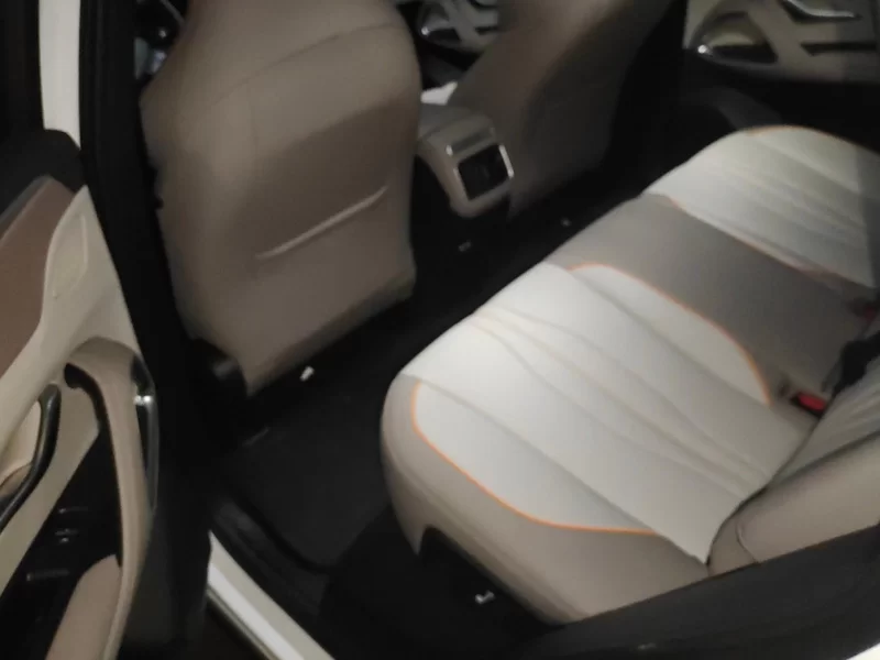 BYD Song Pro New Energy 2024 car image #20