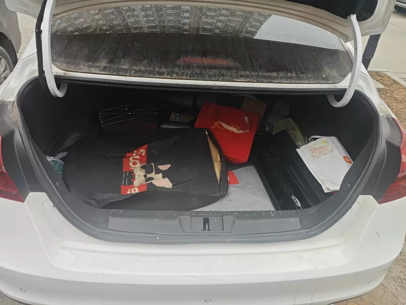 GEELY Emgrand 2019 #20 GEELY Emgrand 2019 car image #20