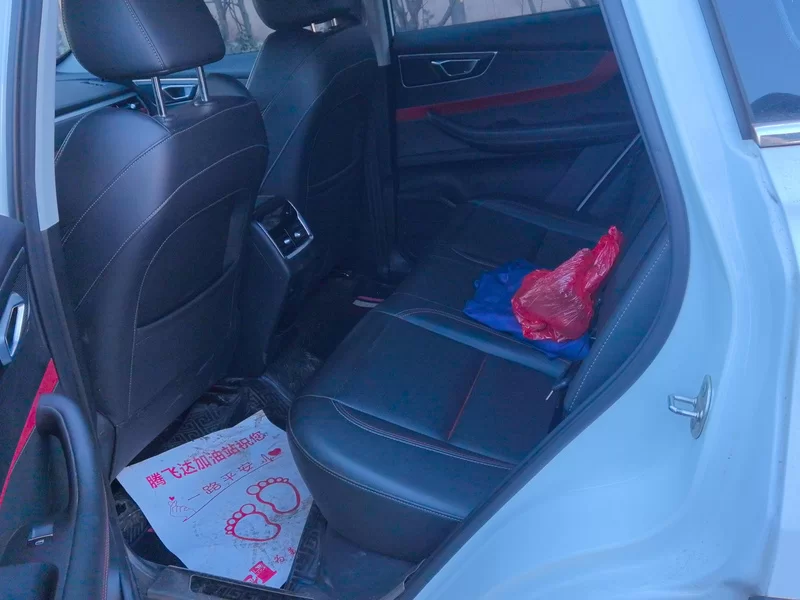 Chery Tiggo 7 2020 car image #20