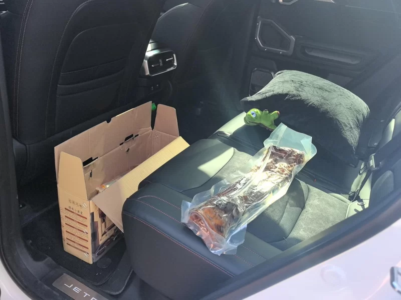 捷途山海 2025 汽车图片 #20