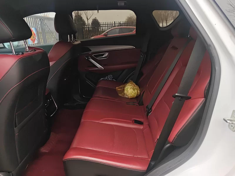 Jetour X70 2021 car image #20