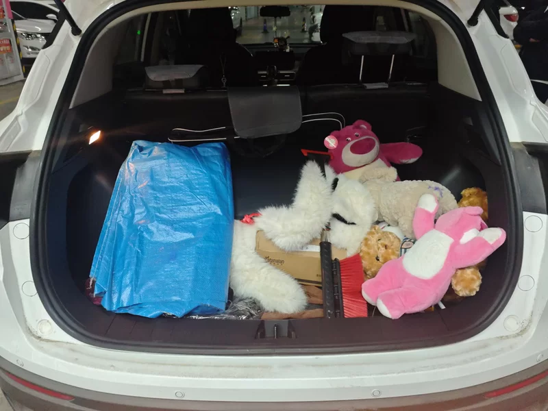 GEELY Coolray 2024 изображение автомобиля #20