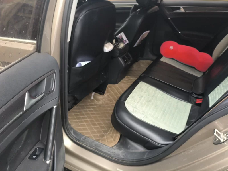 Volkswagen Golf 2017 car image #20