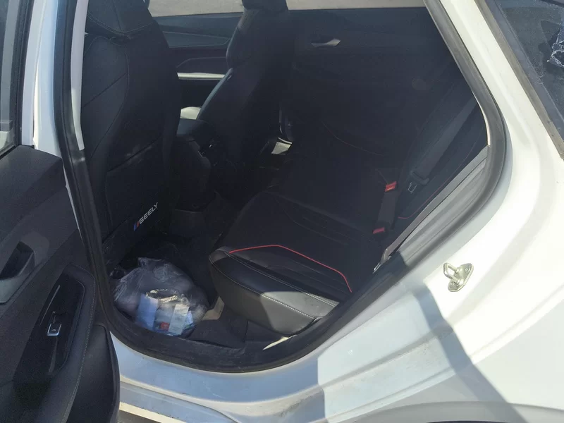 GEELY Binray 2024 #20 GEELY Binray 2024 immagine di auto #20