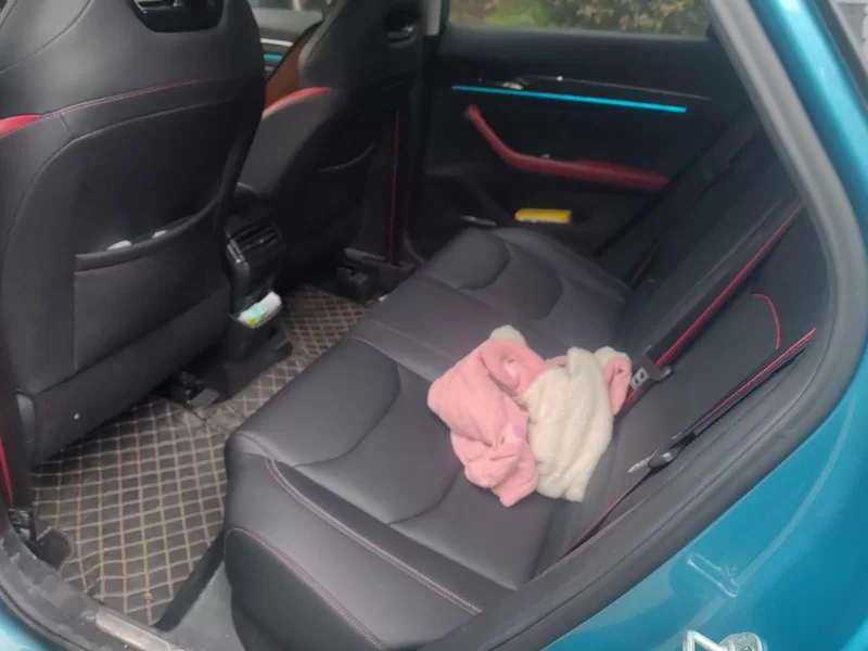 GEELY Emgrand S 2021 car image #20