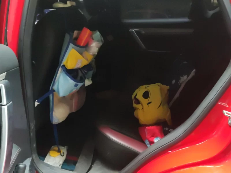 GEELY Coolray 2018 car image #20