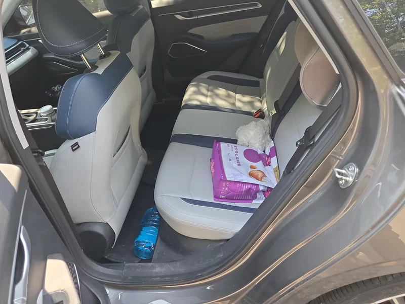 GEELY Emgrand 2022 immagine di auto #20