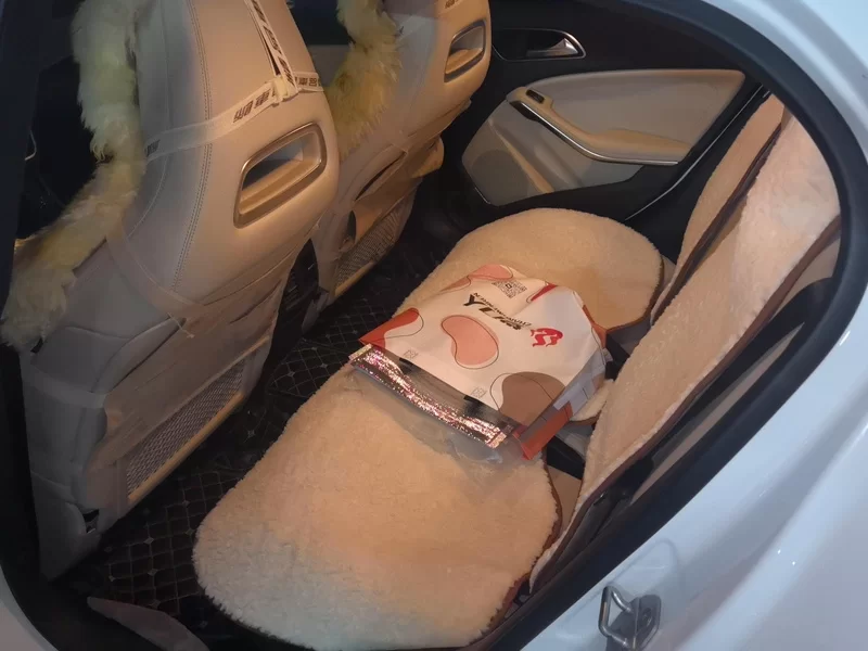 Mercedes-Benz GLA Class 2016 car image #20