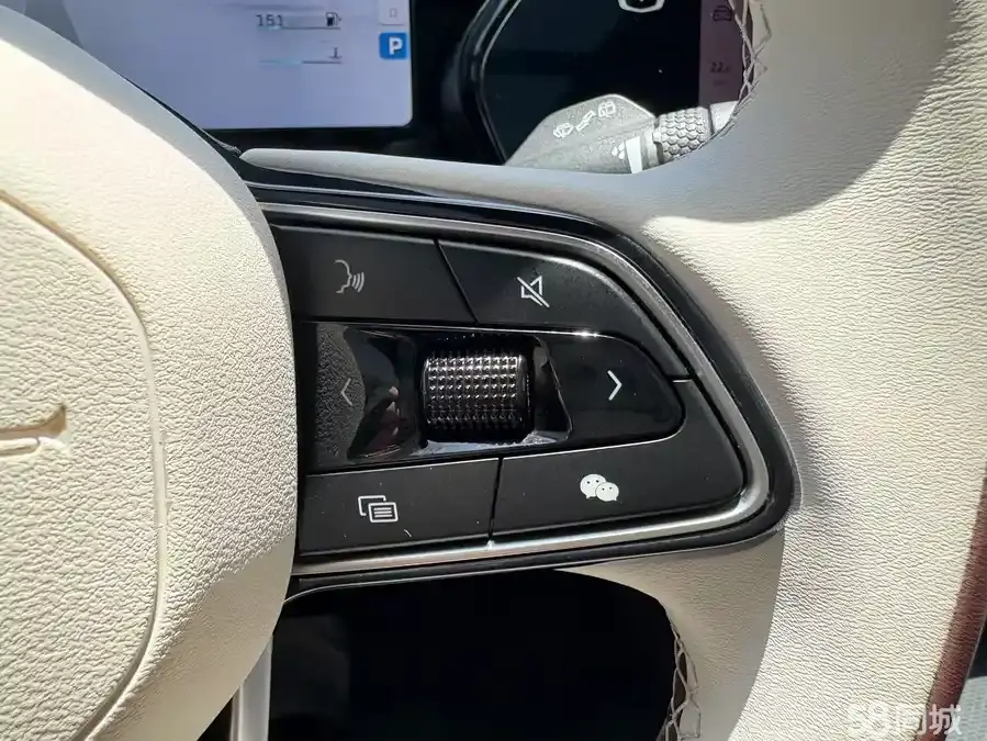 GEELY Monjaro 2021 immagine di auto #20