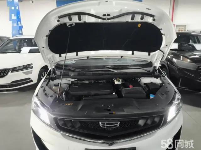 GEELY JiaJi 2021 car image #20