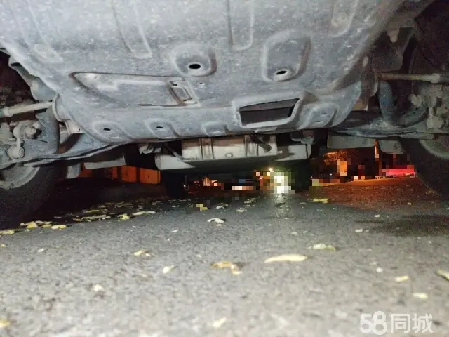 Forthing Lingzhi EV 2023 car image #20