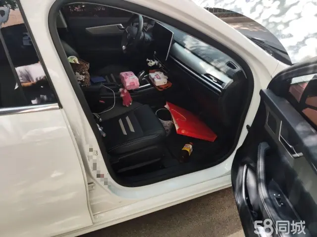 BYD Qin Pro 2019 car image #20