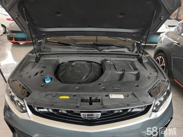 GEELY Tugella 2019 car image #20