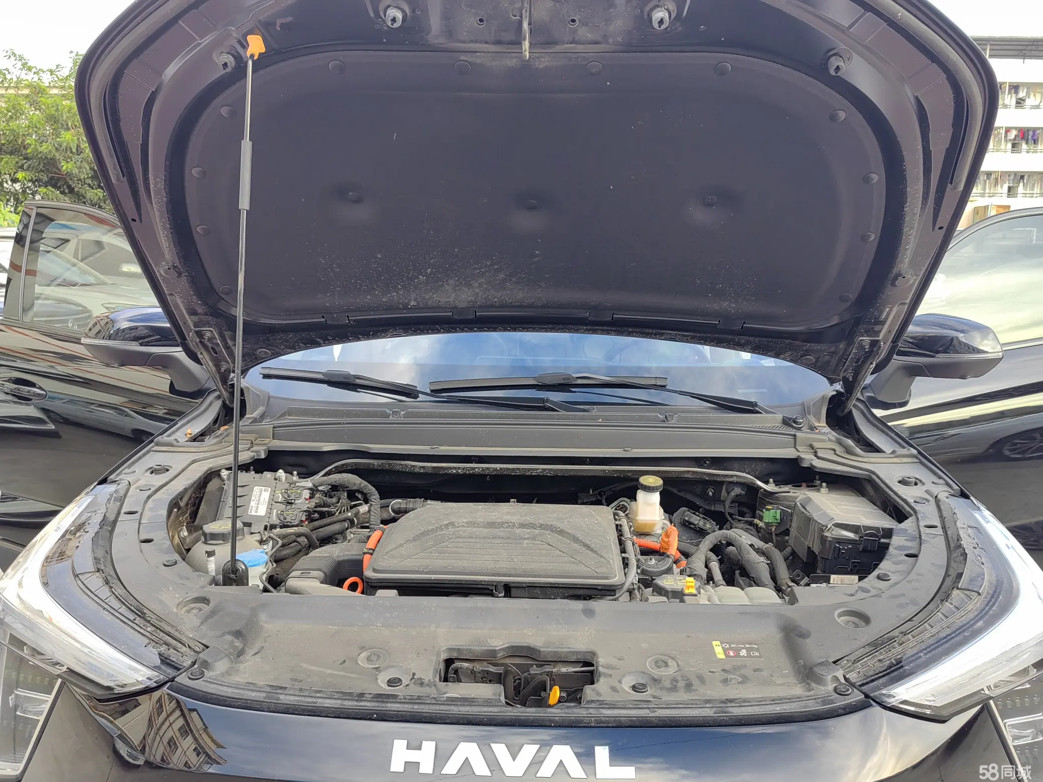 Haval Fierce Dragon 2024 car image #20