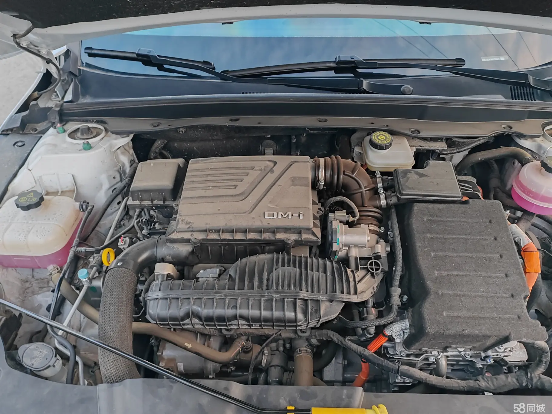 BYD Seal 05 DM-i 2024 car image #20