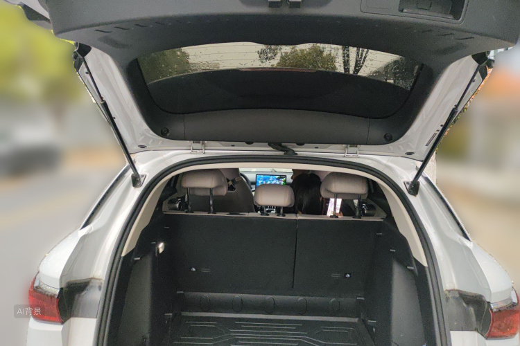 BYD Yuan Plus 2024 immagine di auto #21